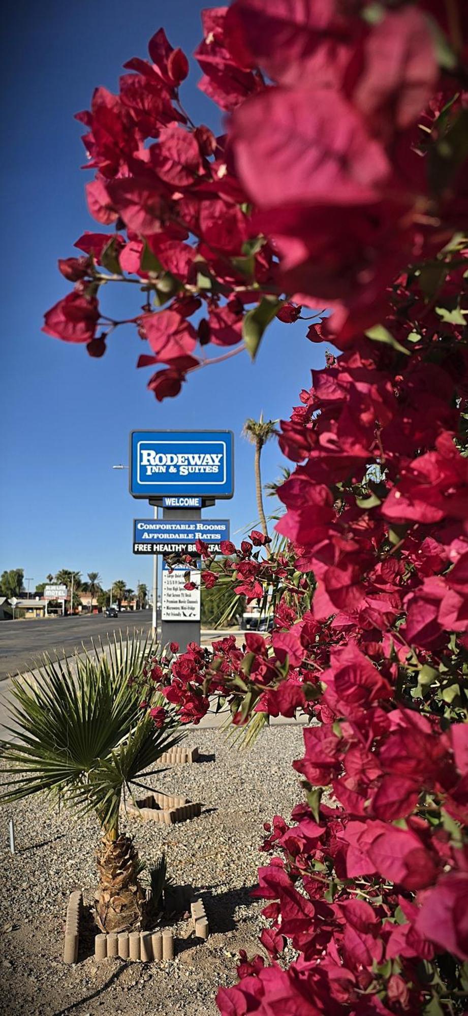 Rodeway Inn & Suites Blythe I-10 Dış mekan fotoğraf